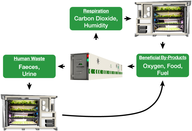 future of safe refuge A Simplified Controlled Ecological Life Support System